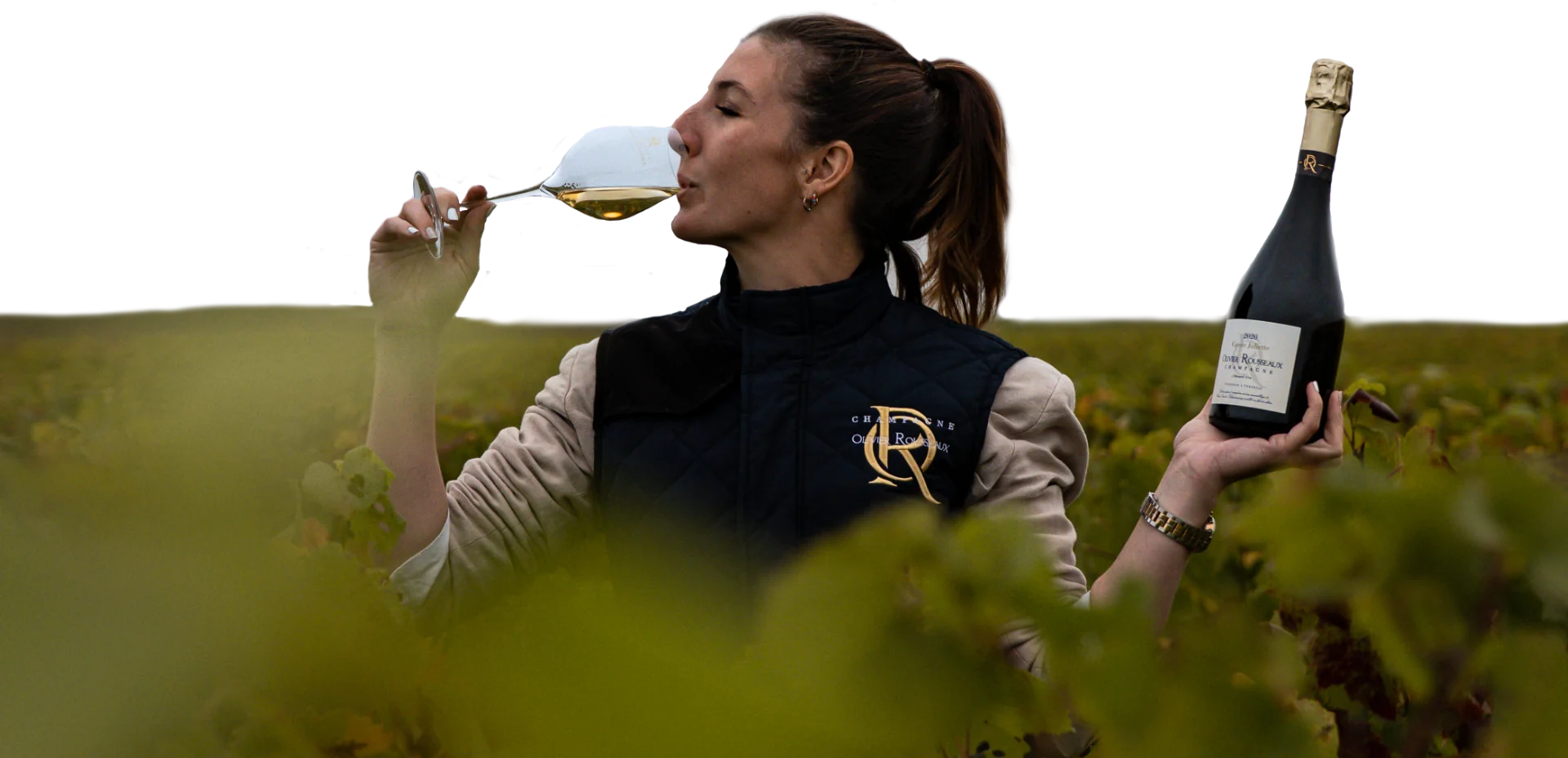 Dégustation d'une cuvée Olivier Rousseaux au cœur des vignes de Verzenay